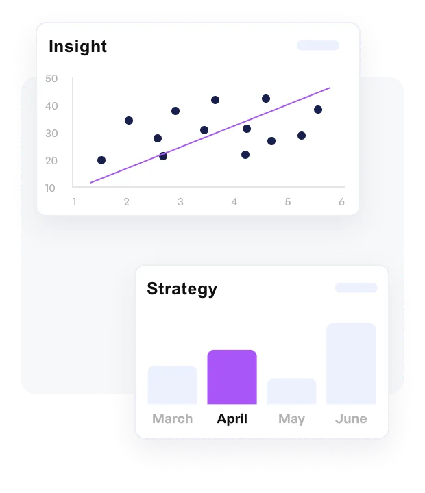 Insight & Strategy